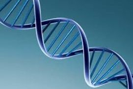 GCT 549 - Тест на генетическую совместимость (ТГС) 