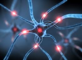 Neurocirug&iacute;a